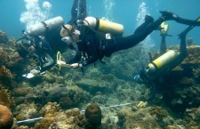 Coral Cay Conservation